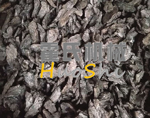 蒸女貞子、黃精體驗